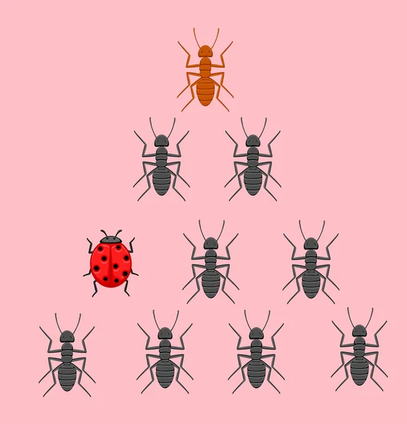 Lieveheersbeestje in mieren Team — Stockvector