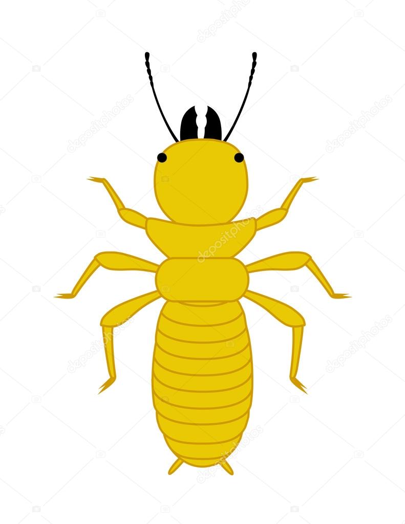Comic Termite Insect