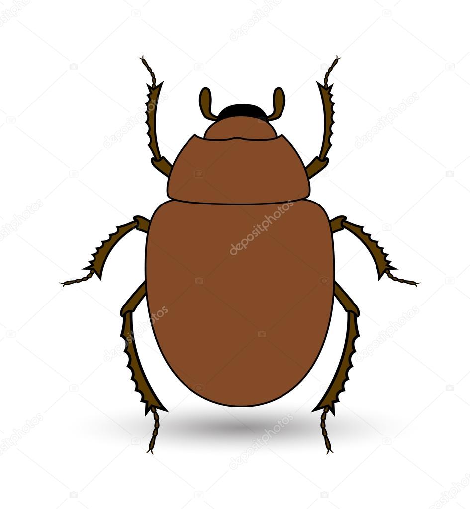 Scarab Beetle Insect Vector
