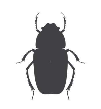 Çirkin böceği böcek vektör siluet