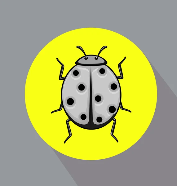 Beruška vektorový hmyz — Stockový vektor