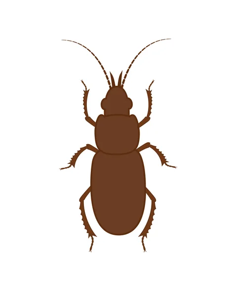 Ilustrație de insecte Totengraber — Vector de stoc