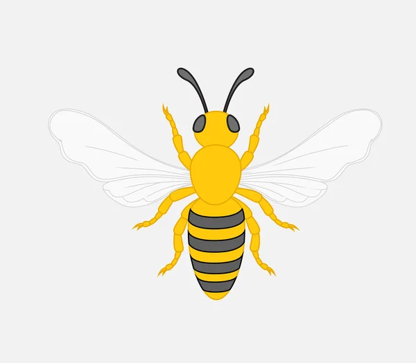 Vector de abeja de dibujos animados — Vector de stock