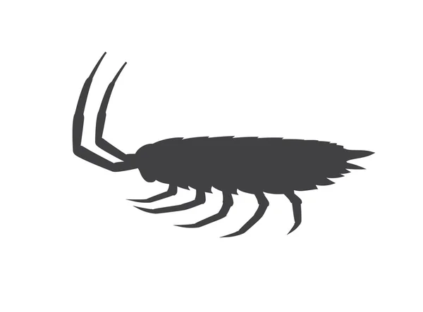 Silueta de insectos Woodlouse — Vector de stock