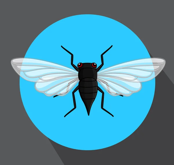 Cicada Insecto volador — Vector de stock