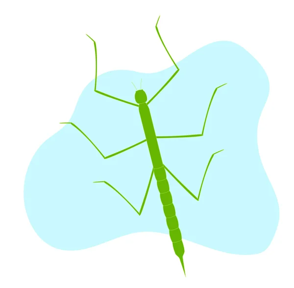 Stick Insect Vector — Stock Vector
