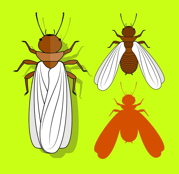 Insectos alados de termita — Archivo Imágenes Vectoriales