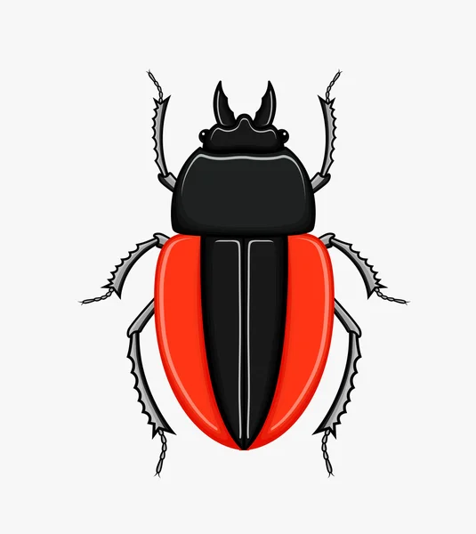 Assustador escaravelho Vector — Vetor de Stock