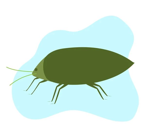 Vector de insecto áfido — Vector de stock