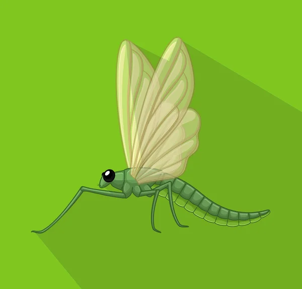 Vector de insectos libélula — Vector de stock