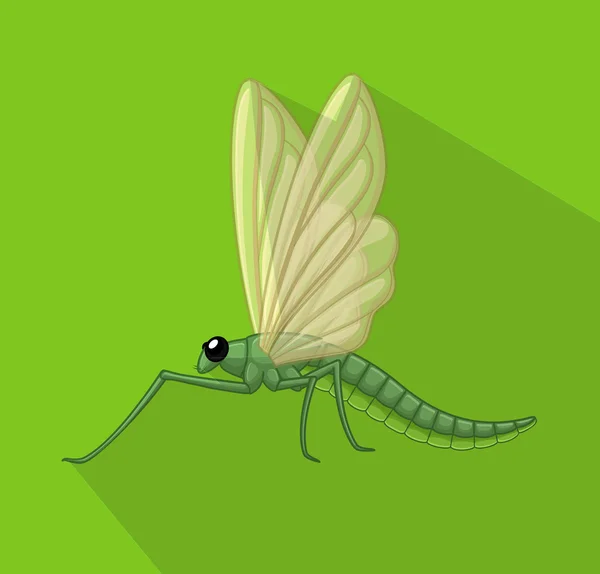 Vector de insectos libélula — Archivo Imágenes Vectoriales