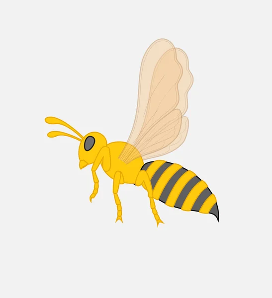 Bee Vector Illustration — Stock Vector