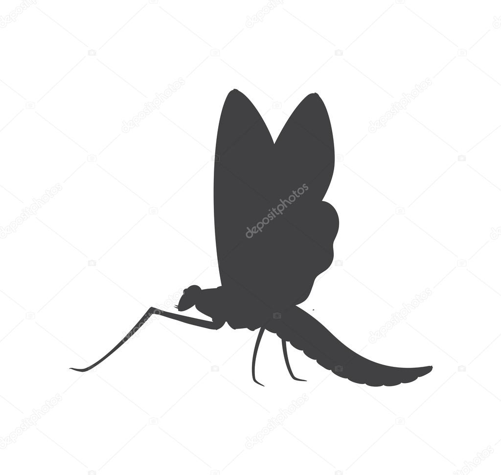 Mayfly Insect Silhouette