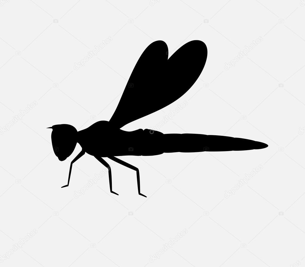 Dragonfly Silhouette Vector