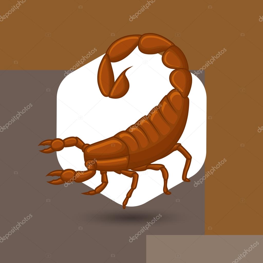 Wild Scorpion Vector