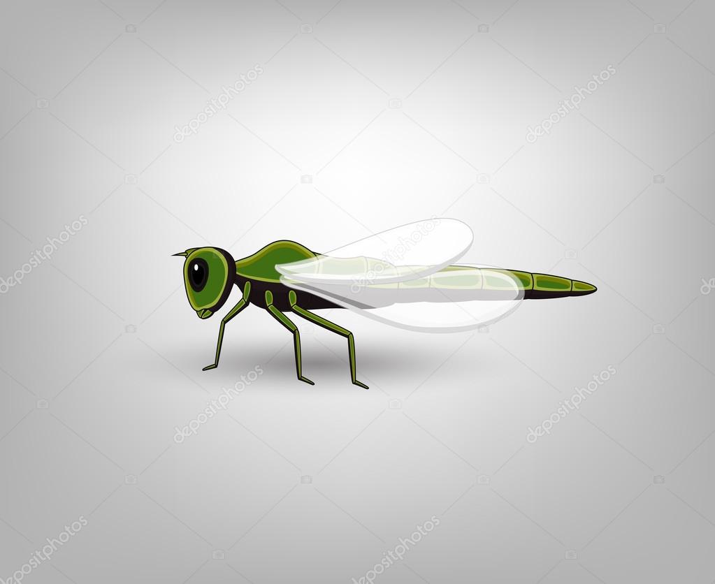 Dragonfly Vector Insect
