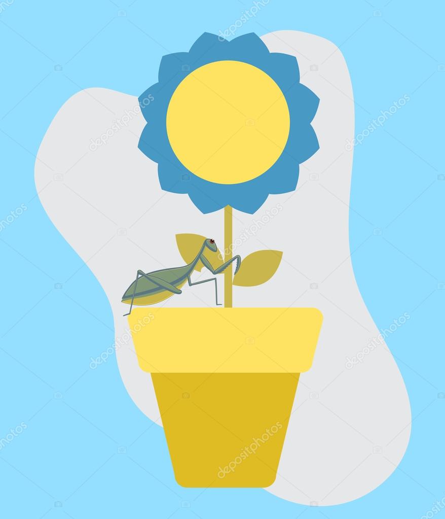 Insect on Flower Vector