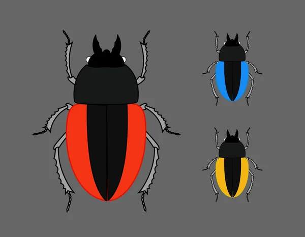Szkarabeusz bogár rovarok — Stock Vector