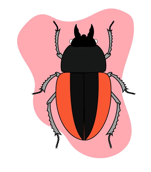 Scarab Beetle Vector — Stock Vector