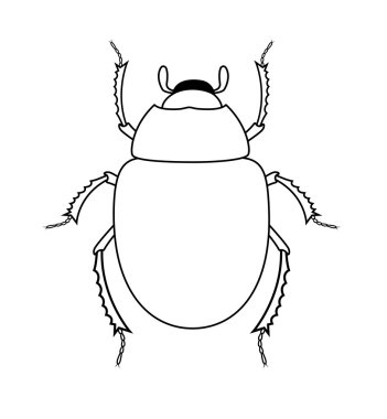 Çizim sanatı Scarab böceği böcek