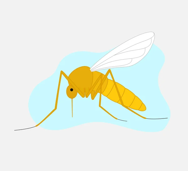 Sivrisinek böcek vektör — Stok Vektör