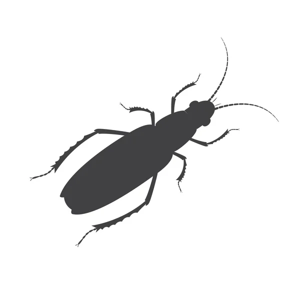 Silhouette vectorielle d'insectes Totengraber — Image vectorielle