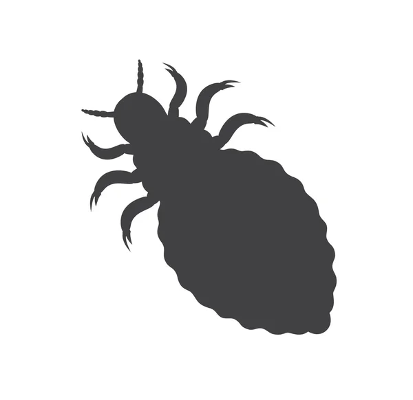 Luizen Insect silhouet — Stockvector