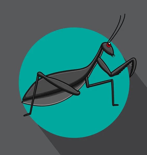 Mantid Cartoon Insect — Stock Vector