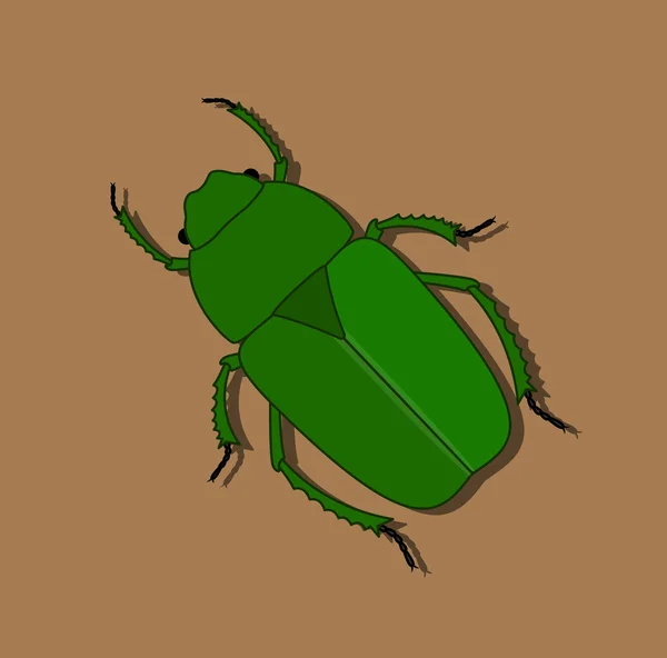 Green Beetle Insect — Stock Vector