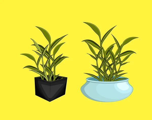 Pot de bambou pour plantes d'intérieur — Image vectorielle