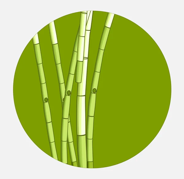 Sugarcane Vector Background — Stock Vector