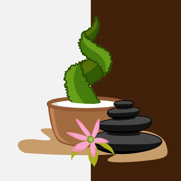 Zen stenar med blomma och kaktus växt — Stock vektor