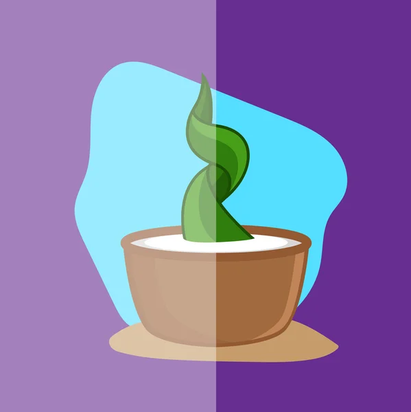 Spiral Green Cactus Plant Vector
