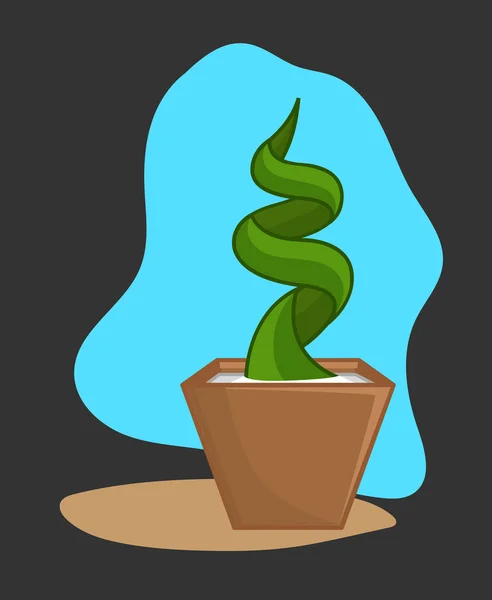 Spirala Kaktus roślina w doniczce — Wektor stockowy