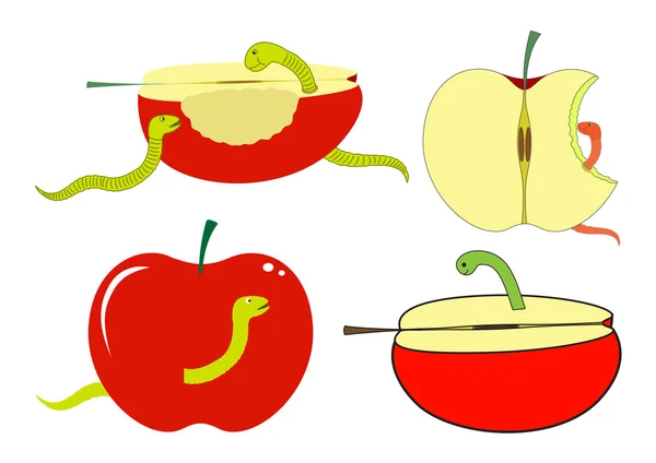 Яблочные ломтики и кусочки червя — стоковый вектор