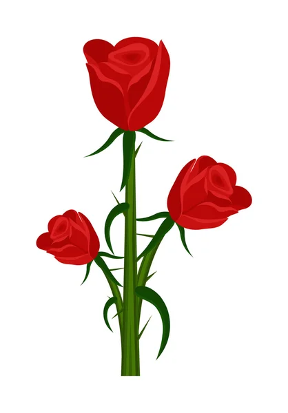 Rosas rojas — Vector de stock