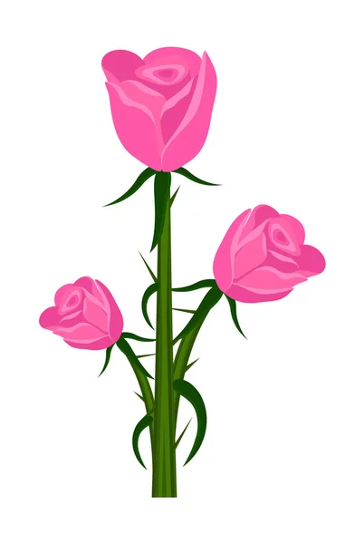 Rosas rosadas — Vector de stock