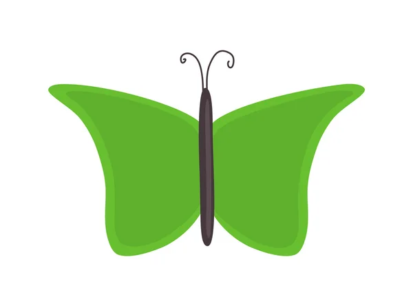 Groene Butterfly ontwerp — Stockvector