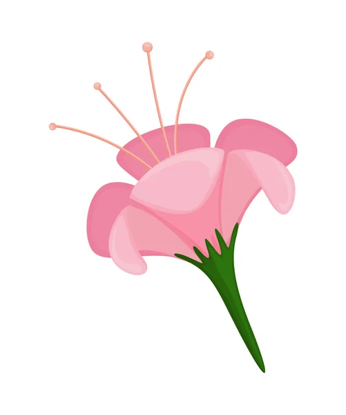 Flor rosa aislada — Vector de stock