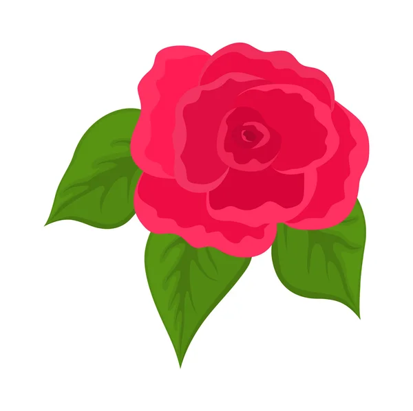 Pink Rose Flower — Stock Vector