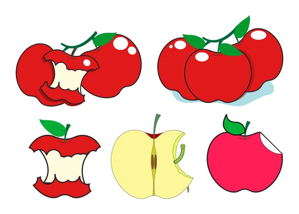 Fresh and Eaten Apples — Stock Vector