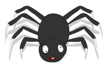 tehlikeli örümceği