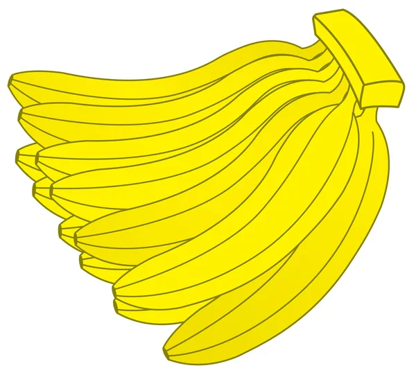 Bananas dúzias — Vetor de Stock