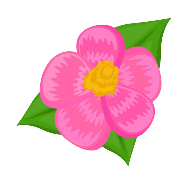 Rosa Gänseblümchen-Vektorelement — Stockvektor