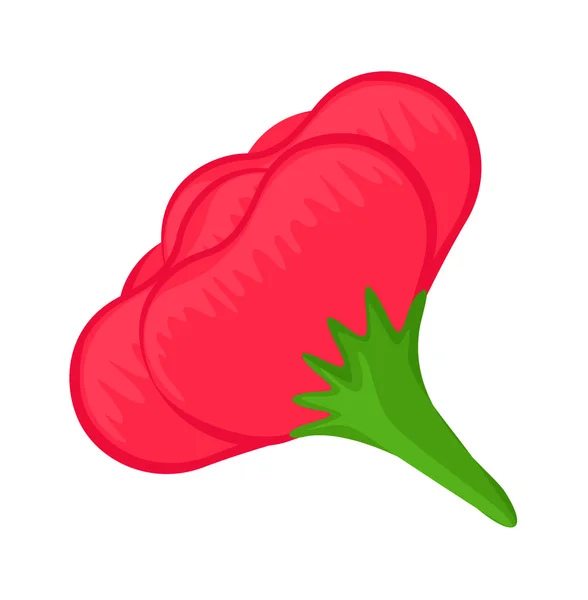 赤い花の花弁 — ストックベクタ