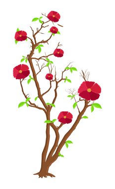 Kırmızı çiçek dalları