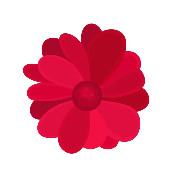 Red Flower Abstract Design — Stock Vector