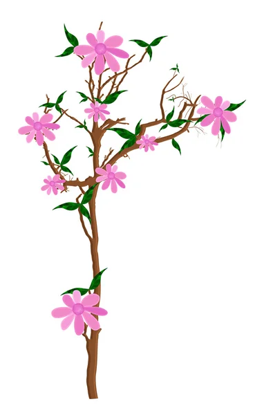Pink Flowers Plant Illustration — Stock Vector