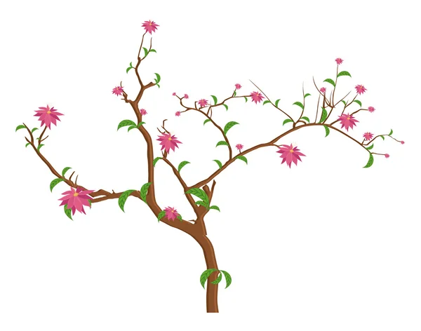 Festival Fleurs Branches — Image vectorielle