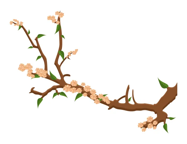 Zimní květy větev — Stockový vektor